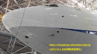 ANA_20170531_07.jpg