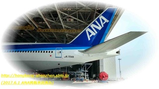 ANA_20170531_16.jpg