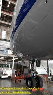 ANA_20170531_20.jpg