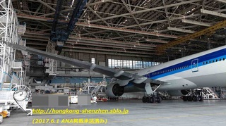 ANA_20170531_21.jpg