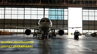 ANA_20170606_01_1.jpg