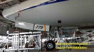 ANA_20170606_05_5.jpg