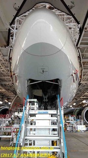 ANA_20170606_06_6.jpg
