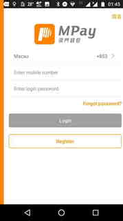 MPay_02.JPG